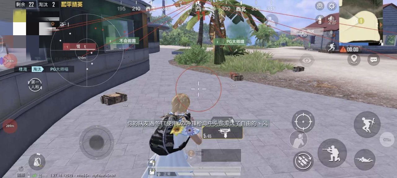 和平精英DDYS辅助